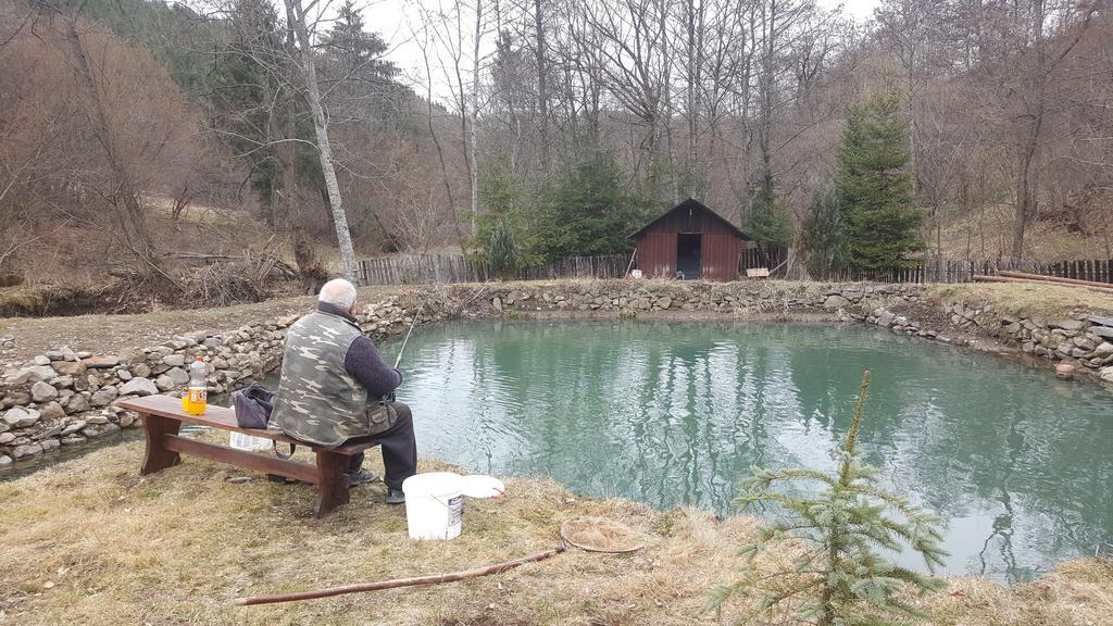 Hotel Korond Mako Panzio Zewnętrze zdjęcie